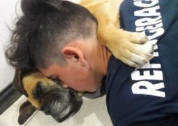 Fallece mascota en brazos de su dueño a causa de los fuegos artificiales